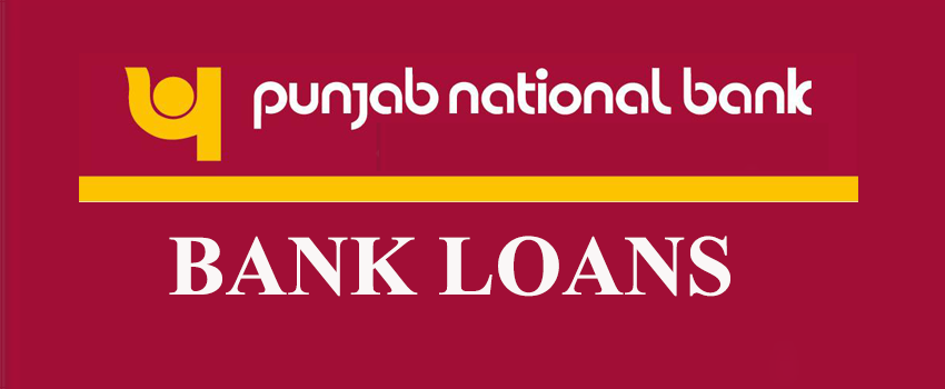 PNB personal loan for government employees