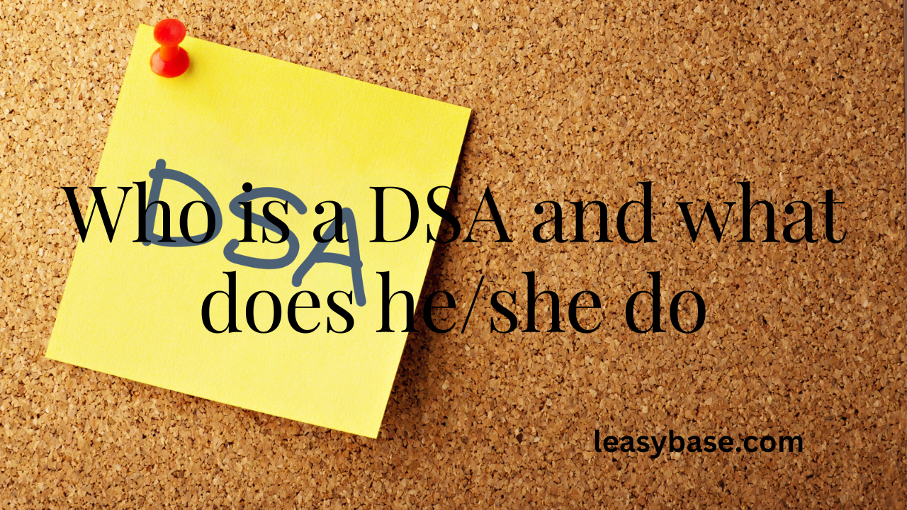 Who is a DSA and what does he/she do