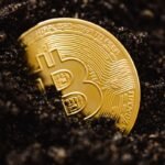 The True Cost of Crypto Mining Power: Energy Consumption Worldwide