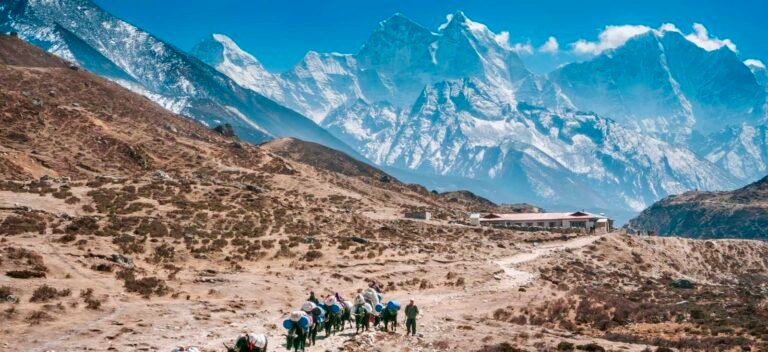 How To Master Acclimatization On The Annapurna Circuit For Success